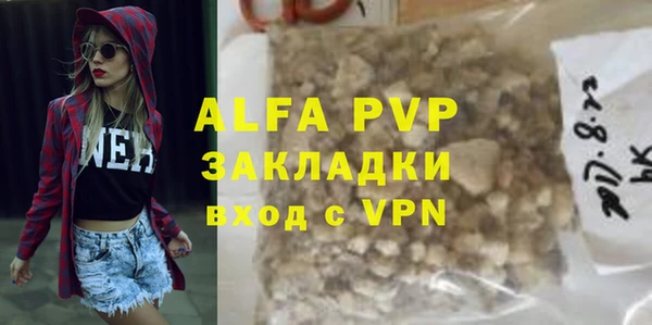 сатива Аркадак