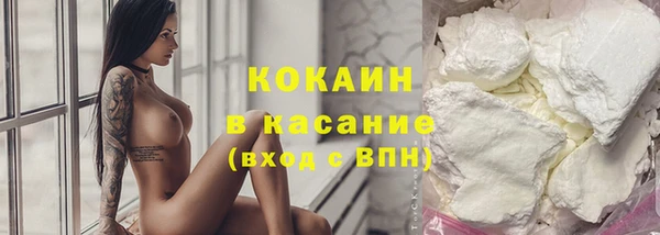 сатива Аркадак
