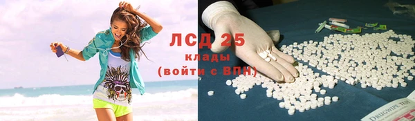 сатива Аркадак