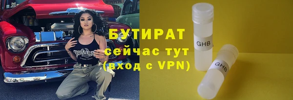 сатива Аркадак