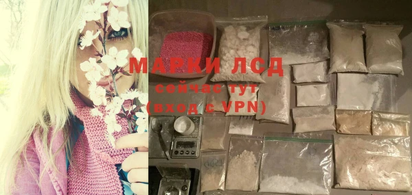 сатива Аркадак