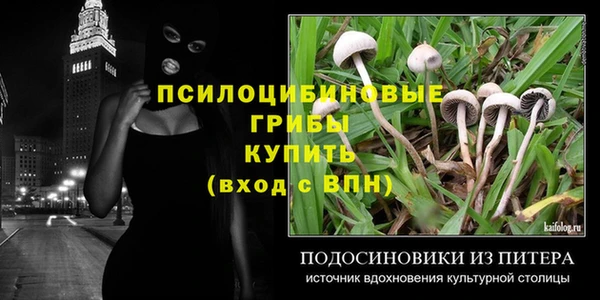 2c-b Арсеньев