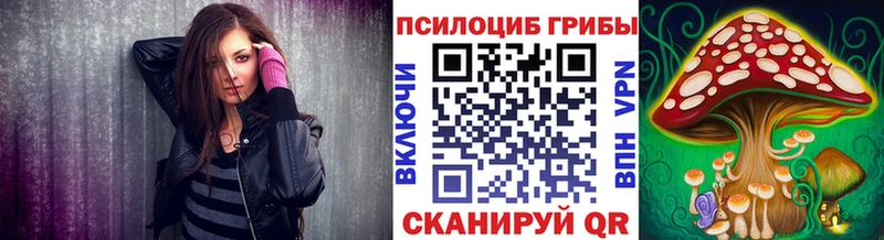Галлюциногенные грибы Psilocybine cubensis купить наркотик Советская Гавань